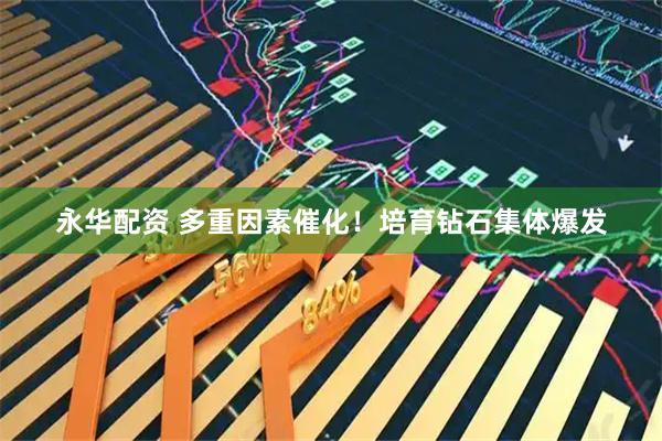永华配资 多重因素催化！培育钻石集体爆发