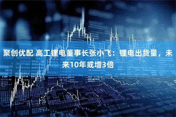 聚创优配 高工锂电董事长张小飞：锂电出货量，未来10年或增3倍