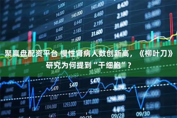 聚赢盘配资平台 慢性肾病人数创新高，《柳叶刀》研究为何提到“干细胞”？