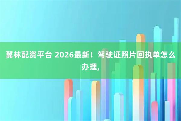 翼林配资平台 2026最新！驾驶证照片回执单怎么办理,