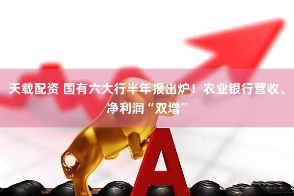 天载配资 国有六大行半年报出炉！农业银行营收、净利润“双增”