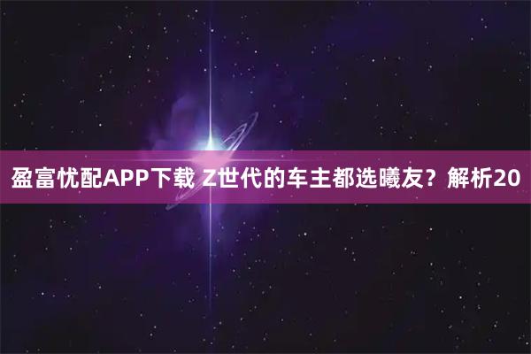 盈富忧配APP下载 Z世代的车主都选曦友？解析20